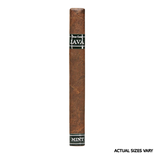 Rocky Patel Java Mint Robusto